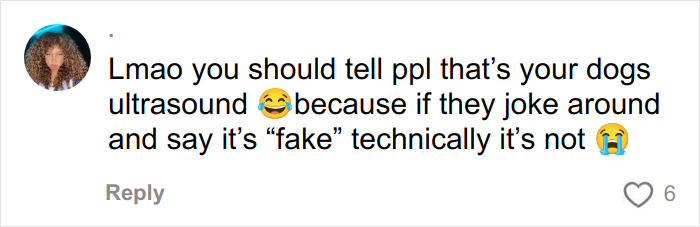Comment about a dog's ultrasound and the humor in questioning whether it's fake in a social media reply.