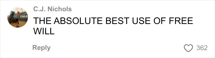 Screenshot of a social media comment praising the incredibly elaborate anti-MAGA Halloween display with viral hilarious details.