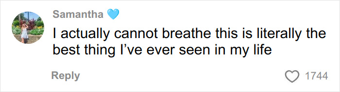 Comment from Samantha expressing amazement and saying she cannot breathe because it is the best thing she has ever seen in her life