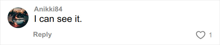 Comment saying I can see it on a social media post about a pregnant woman's sonogram image going viral.