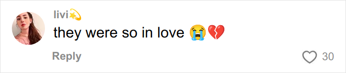 Alt text: Social media comment expressing emotion about Taylor Swift lesbian relationship rumors with Karlie Kloss after interview slip.