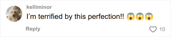 Comment by user kelliminor stating being terrified by the perfection of an elaborate anti-MAGA Halloween display.