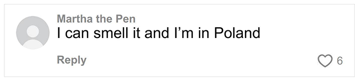Comment saying "I can smell it and I'm in Poland" on a social media post with 6 likes.