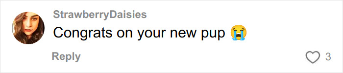 Comment on social media post from user StrawberryDaisies congratulating someone on their new puppy with a crying emoji.