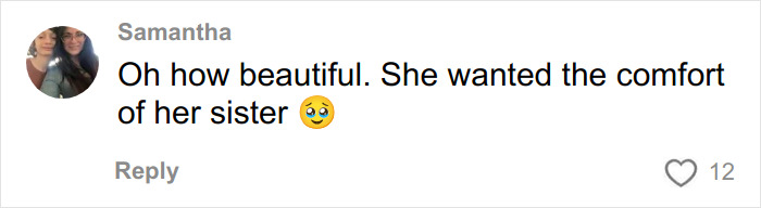 Screenshot of a social media comment expressing emotion about a heartmelting gesture by hospital for two little sisters needing surgery.