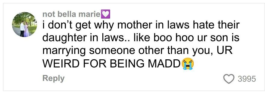 Screenshot of a social media comment criticizing mother-in-laws, related to a woman slamming her ex-mother-in-law publicly.