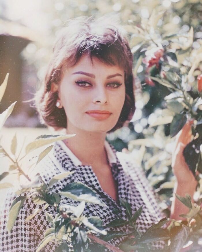Sophia Loren posing outdoors among leaves, showcasing Italian beauty and classic Hollywood glamour in a vintage photograph.