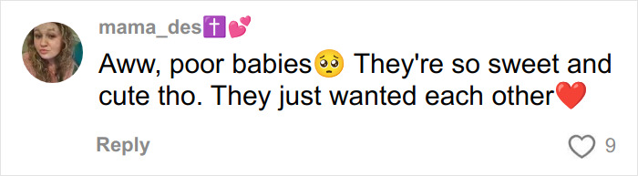 Comment expressing empathy for two little sisters needing surgery, highlighting their sweetness and bond, sparking heartmelting reactions.