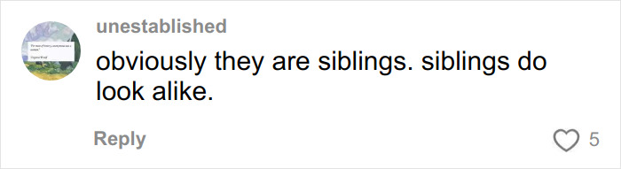 Comment saying obviously they are siblings, siblings do look alike, in a casual online discussion about a pregnant woman&rsquo;s sonogram image.