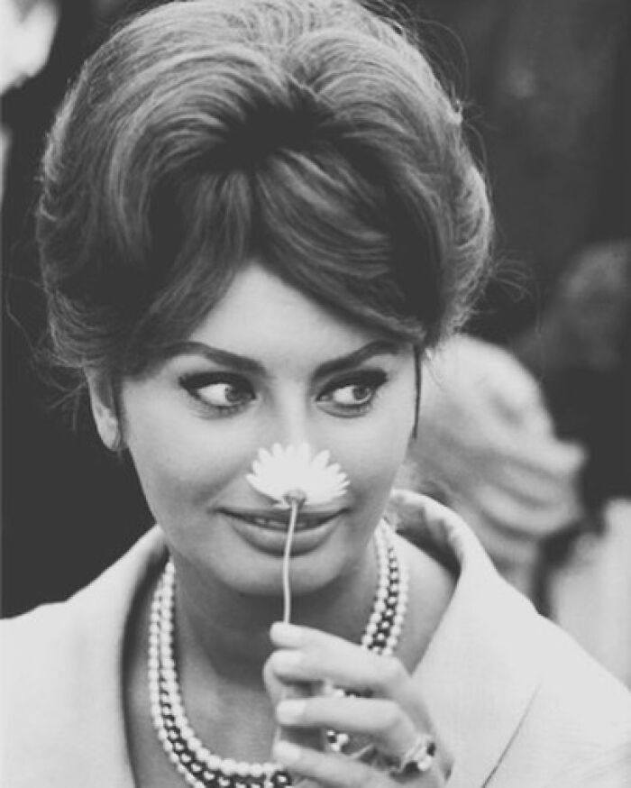 Sophia Loren, Italian beauty and Hollywood legend, holding a flower near her nose in a vintage black and white portrait.