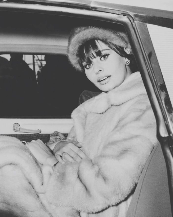 Sophia Loren wearing a fur coat and hat, sitting in a car, showcasing her Italian beauty and Hollywood elegance.