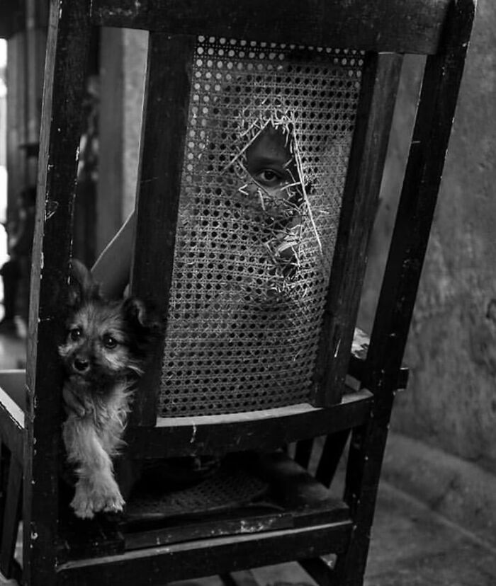 Black and white photo showing a child peeking through a torn chair back with a small dog beside them, fascinating photos.