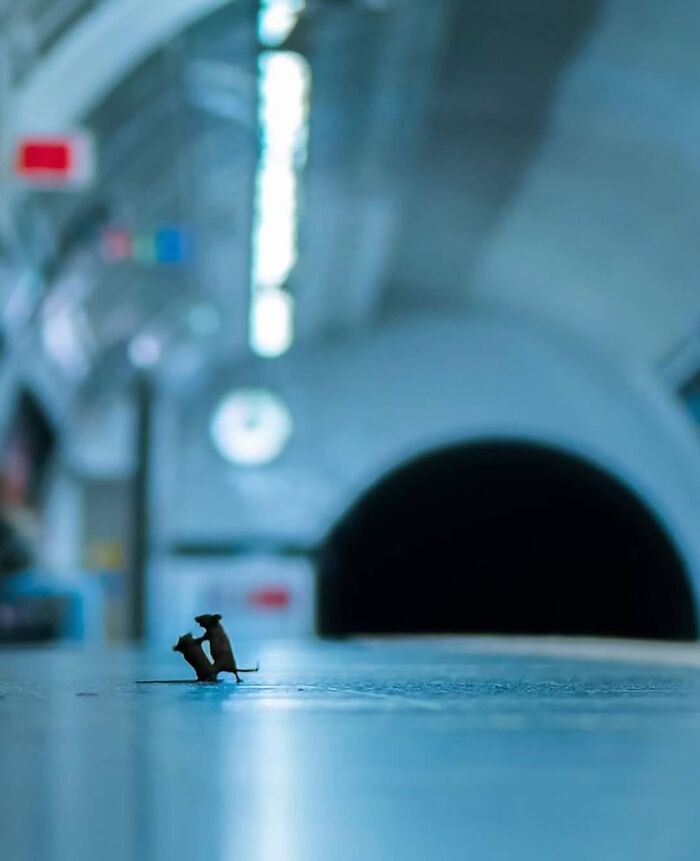 Two small mice on a platform in a blurry subway station, capturing a fascinating photo with dramatic lighting.