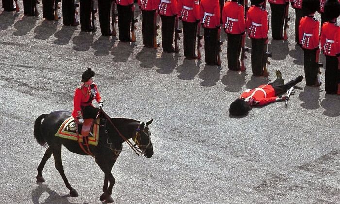 British guards in red uniforms, one fallen on ground, another on horse, during a ceremonial event with a lineup of soldiers.