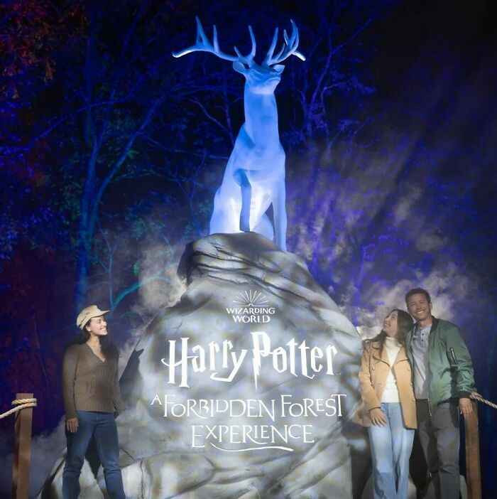 Harry Potter Forbidden Forest event sign with a glowing stag statue and attendees at night.