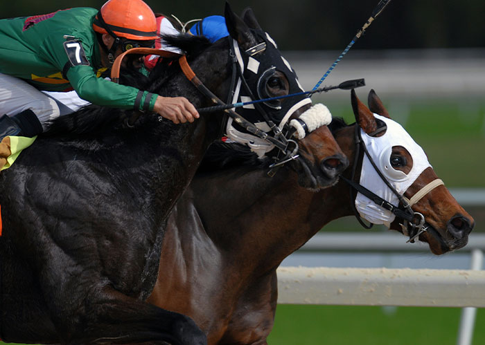 Two racehorses with jockeys in colorful gear competing closely during a horse race at the track.