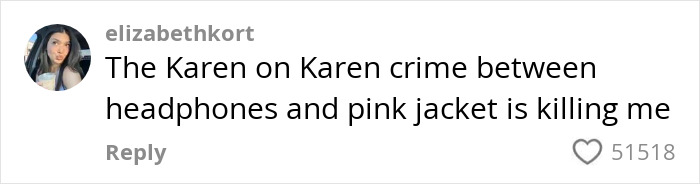 Screenshot of a social media comment about a Karen involved in a confrontation with multiple passengers on a plane. Screenshot of a social media comment about a Karen involved in a confrontation with multiple passengers on a plane.