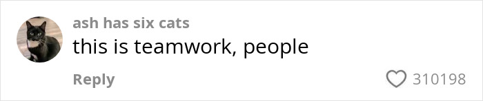 Comment from user ash has six cats saying this is teamwork, people with a black cat profile picture on social media about Karen locking horns with passengers on plane. Comment from user ash has six cats saying this is teamwork, people with a black cat profile picture on social media about Karen locking horns with passengers on plane.