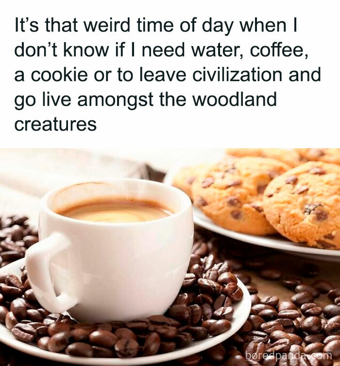 Coffee cup surrounded by beans and cookies, with a humorous introvert meme about needing a break from socializing.