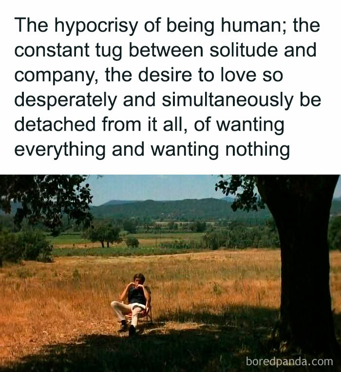 Person sitting alone in a chair under a tree in a field, reflecting on solitude and socializing introvert memes.