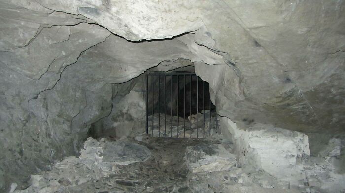 Creepy cave entrance with rough stone walls and a barred gate, evoking a chilling atmosphere in an eerie setting.