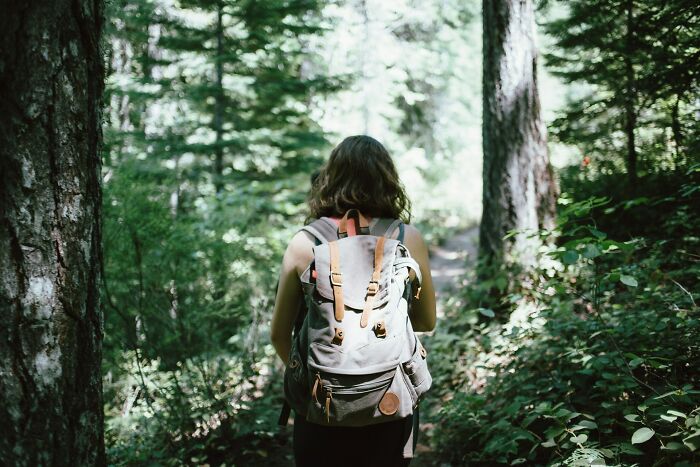 Person with a backpack walking through a dense forest, capturing a sense of near-death experiences in nature settings.