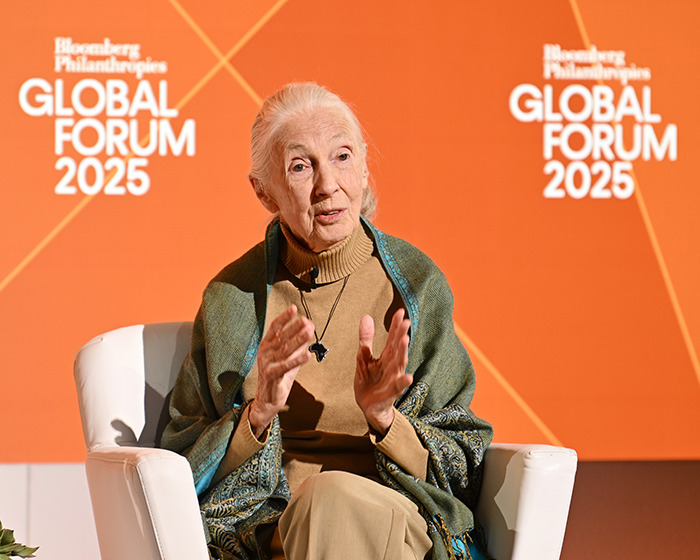 Jane Goodall, Legendary Chimpanzee Expert And Animal Advocate, Passes Away At 91