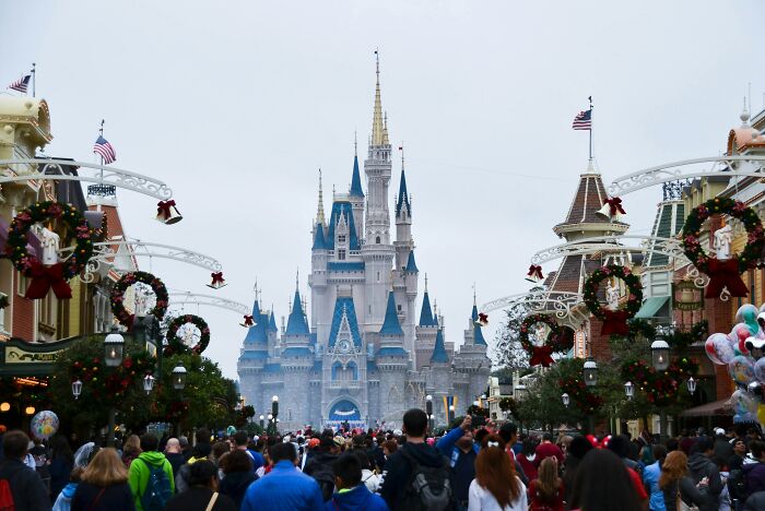 Crowd of Disney fans walking toward the iconic castle, representing the Disney superfan community and theme park experience.