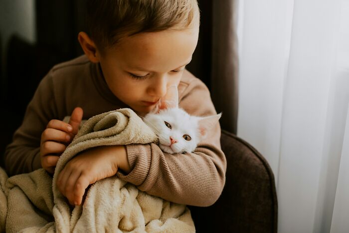 40 Tales Of Cats Being Absolute Hooligans, As Shared By Netizens