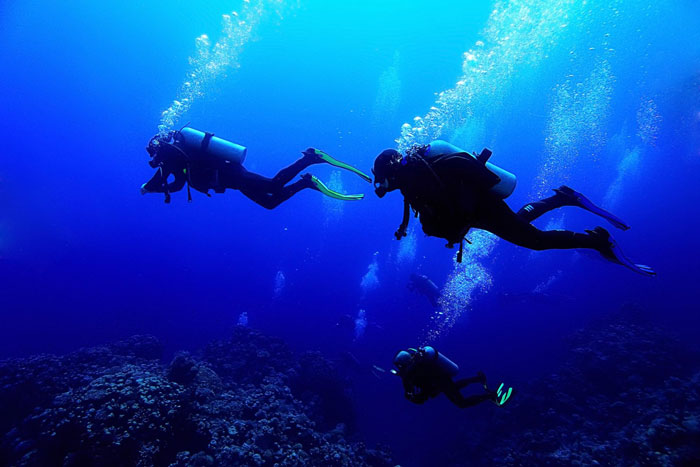 Two scuba divers underwater, one possibly an elite military diver, exploring the deep blue ocean with coral below.