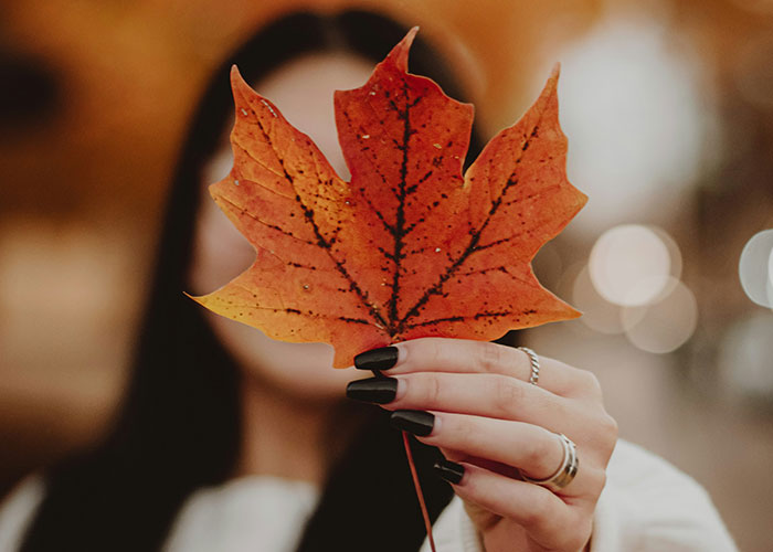 Person holding a red-orange maple leaf in front of face with focus on leaf and blurred background, related to steak comes from cows facts.