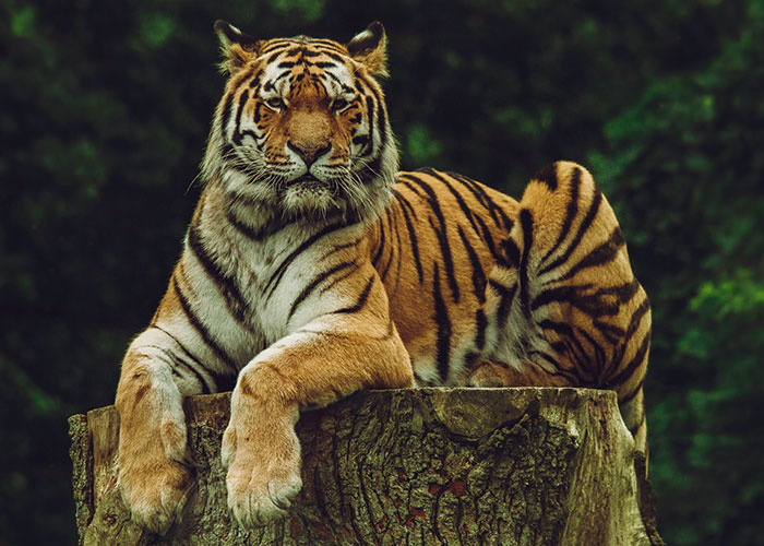 “Nobody Told Me That!” 34 People Share The Basic Facts They Only Just Learned