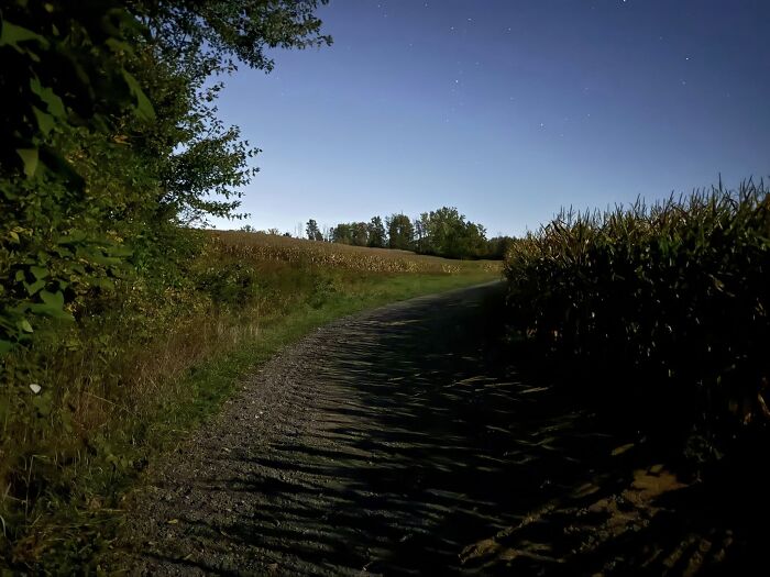 Nighttime rural path between cornfields and trees, showing a beautiful yet unnerving liminal space under a starry sky.