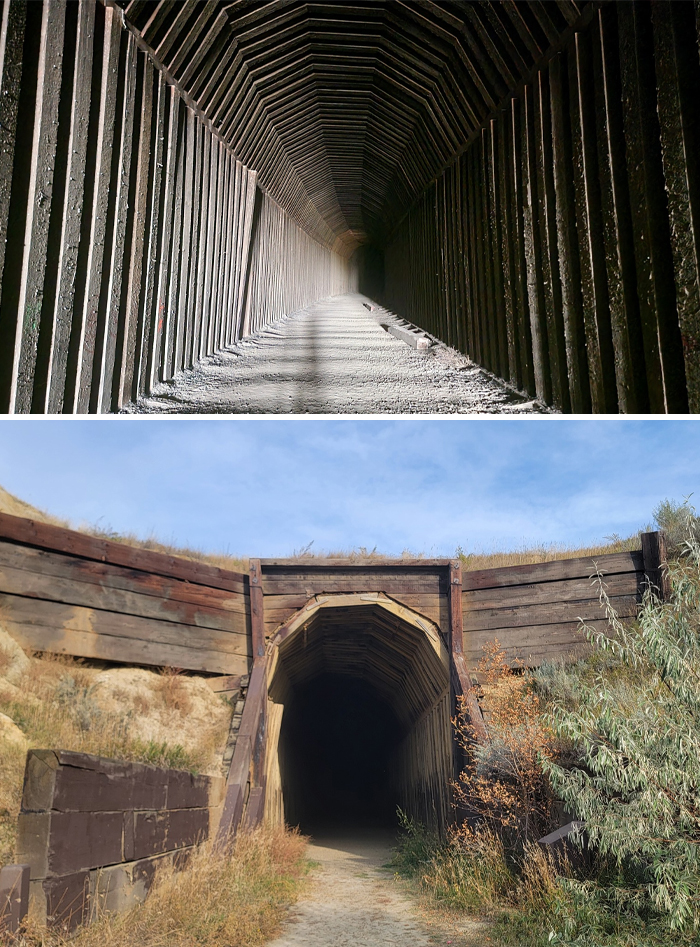 Dark wooden tunnel surrounded by dry grass and bushes, evoking a beautiful yet unnerving liminal space atmosphere.