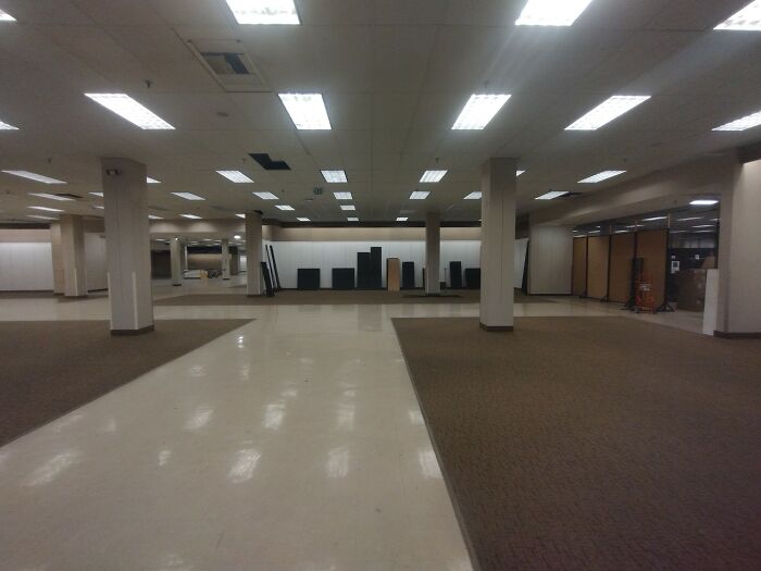 Empty retail space with carpet and tile flooring under fluorescent lighting, a liminal space evoking eerie yet beautiful stillness.