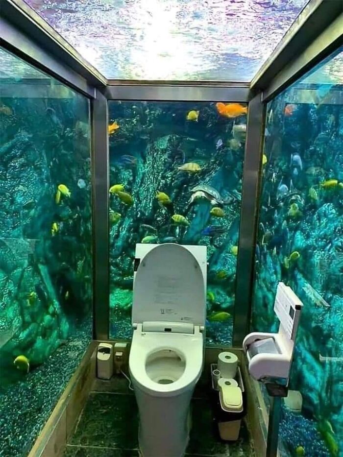 Toilet room enclosed by aquarium glass walls filled with colorful fish, creating a beautiful yet unnerving liminal space.
