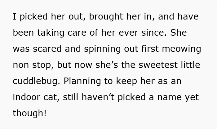 Caring for a little kitty found meowing outside, turning her into a sweet indoor cuddlebug.