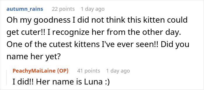 Chat conversation about a little kitty found meowing outside, with users discussing the kitten&rsquo;s cuteness and name.