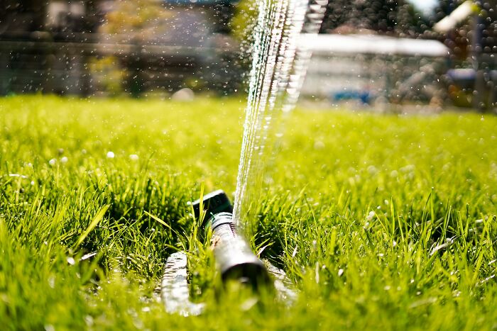 Close-up of a garden sprinkler watering green grass, illustrating common truths people were fooled into believing was propaganda.