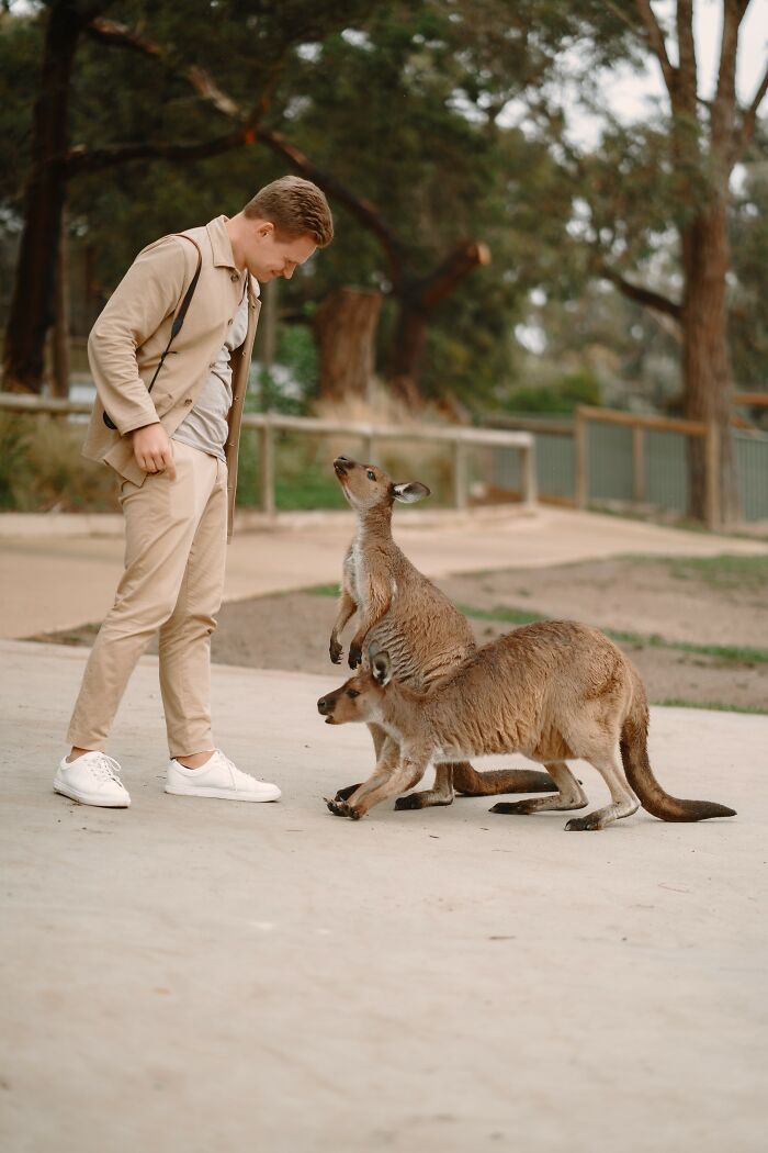 Man interacting with kangaroos in an outdoor setting, showcasing unbelievable facts about countries that are actually true.
