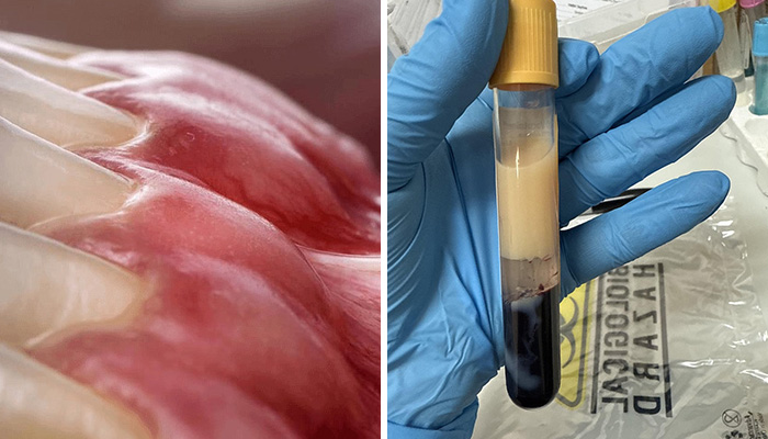 42 Of The Most Bizarre And Unsettling Medical Posts Shared Online