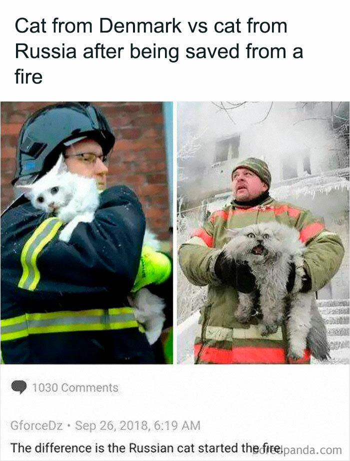 Firefighters rescuing cats from a fire, humorous animal meme illustrating differences between Danish and Russian cats.