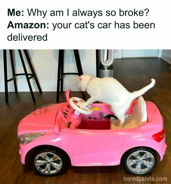 Cat stepping into a pink toy car in a humorous animal meme to fight sadness and boredom with funny and adorable animal memes.