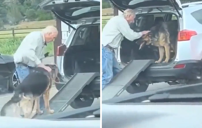 Man helping dog into car using a ramp, showing kindness and care highlighting men are good in the world.