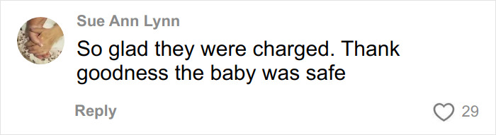 User comment expressing relief and gratitude that the baby left alone on the beach was safe after charges.