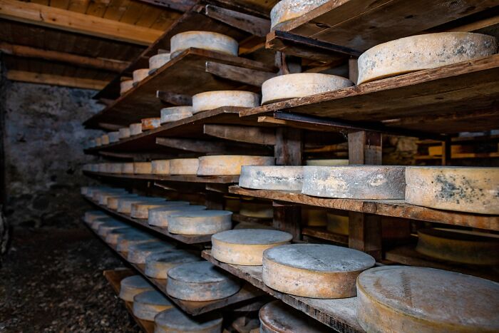 Aged cheese wheels stored on wooden shelves in a traditional cellar, showcasing unique facts about countries.