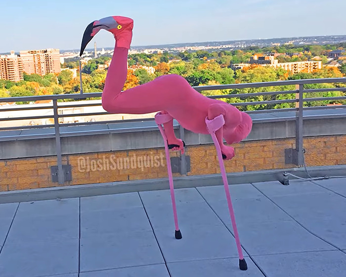 One-legged man in a creative flamingo Halloween costume on crutches outside with cityscape in background.