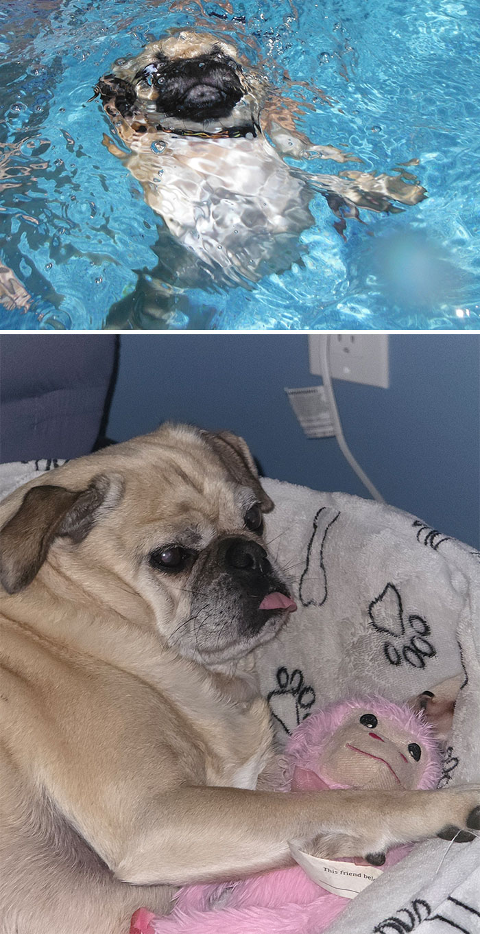 Otis First Time Swimming