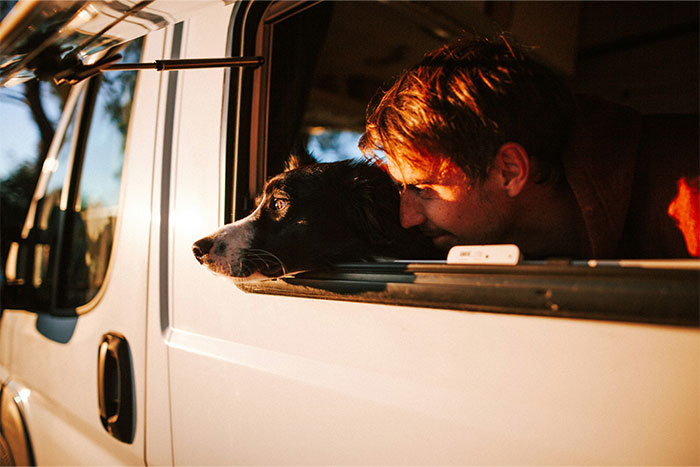 Young man and dog looking out of white van window at sunset, capturing a moment of calm and connection.
