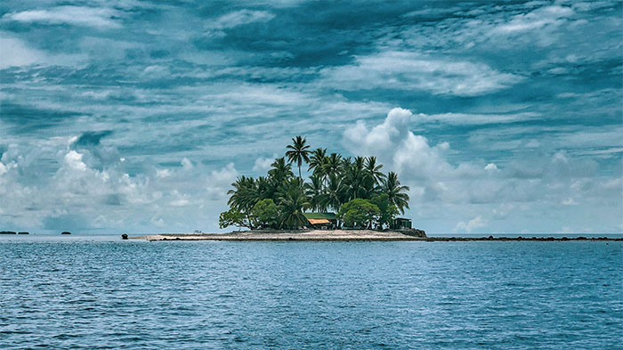 Small tropical island with palm trees under a cloudy sky, evoking a mind-blown feeling from clueless young people statements.